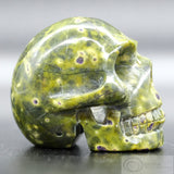 Atlantisite Human Skull