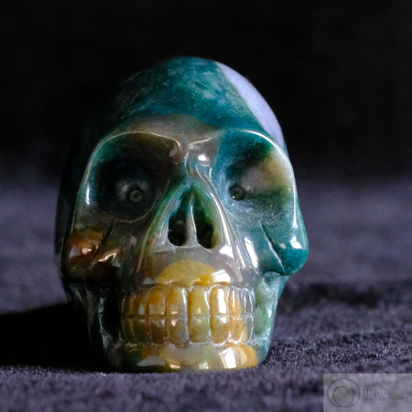 Bloodstone Human Skull