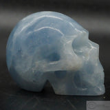 Blue Calcite Human Skull