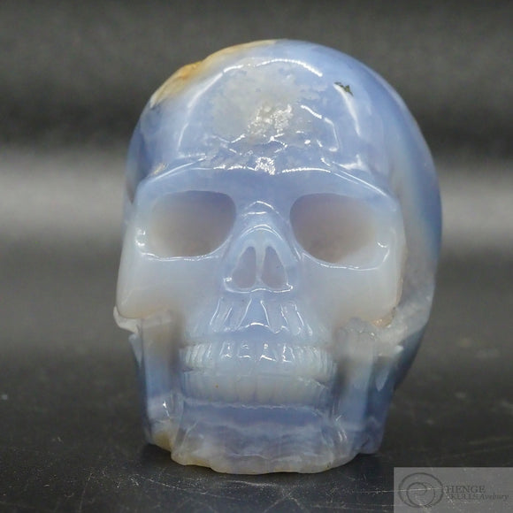 Blue Lace Agate Human Skull (BLA03)