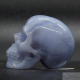 Blue Lace Agate Human Skull