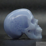 Blue Lace Agate Human Skull
