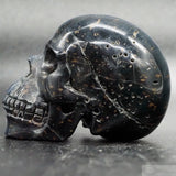 Blue Tiger Eye Human Skull (BTE11)