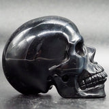 Blue Tiger Eye Human Skull (BTE10)