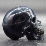 Blue Tiger Eye Human Skull (BTE16)