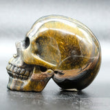 Blue and Gold Tigers Eye Skull