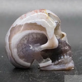 Botswana Agate Human Skull (BA02)