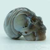 Botswana Agate Human Skull