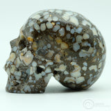 Coffee Opal Skull left facing