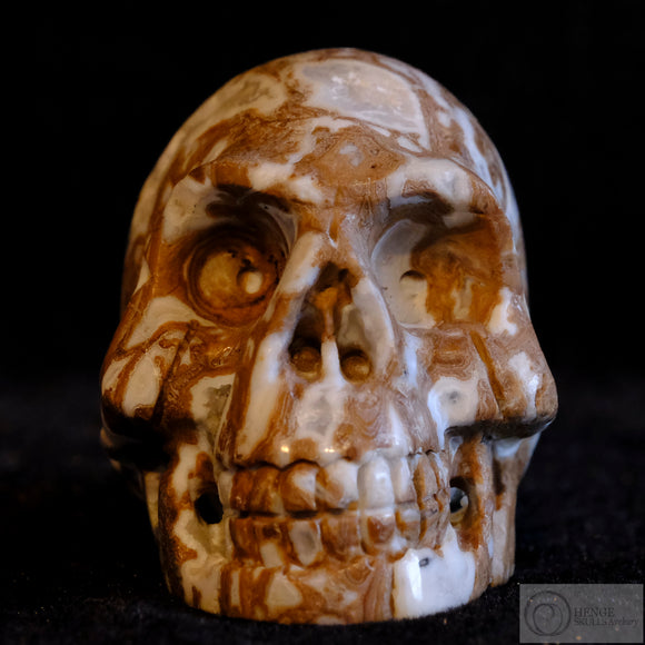Cala Vera Human Skull (CV08)