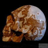 Cala Vera Human Skull (CV08)
