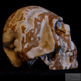 Cala Vera Human Skull (CV08)