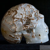 Cala Vera Human Skull