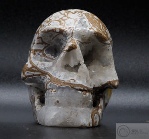 Cala Vera Human Skull (CV11)