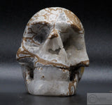 Cala Vera Human Skull (CV11)