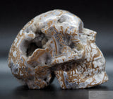 Cala Vera Human Skull