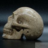 Cala Vera Stone Human Skull (CV06)