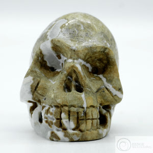 Cala Vera Human Skull (CV02)