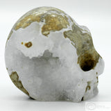 Cala Vera Human Skull (CV02)