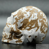 Cala Vera Human Skull (CV03)