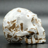 Cala Vera Human Skull (CV03)