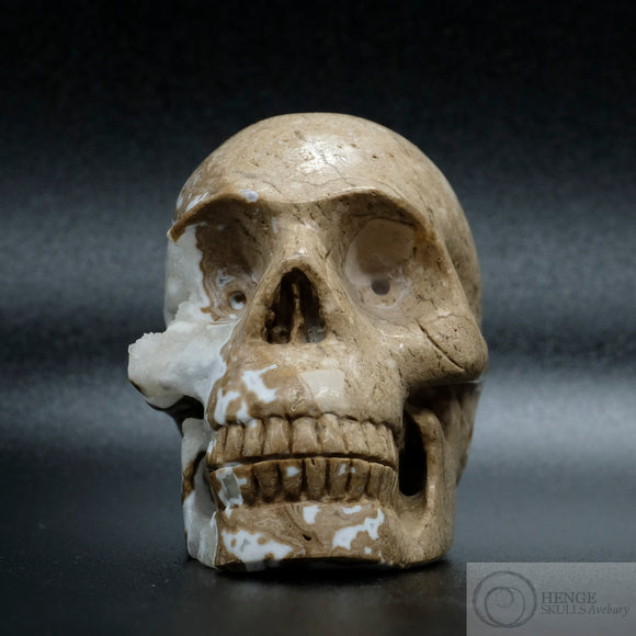 Cala Vera Stone Human Skull (CV06)