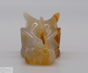 Carnelian Dragon Skull (Car31)