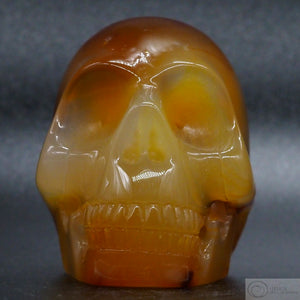 Carnelian Human Skull (Car13)