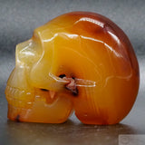 Carnelian Human Skull (Car13)