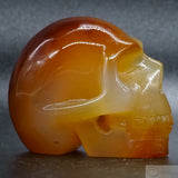 Carnelian Human Skull (Car13)