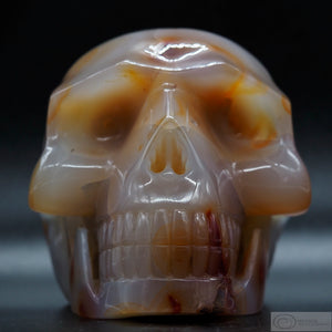 Carnelian Human Skull (Car11)