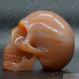 Carnelian Human Skull