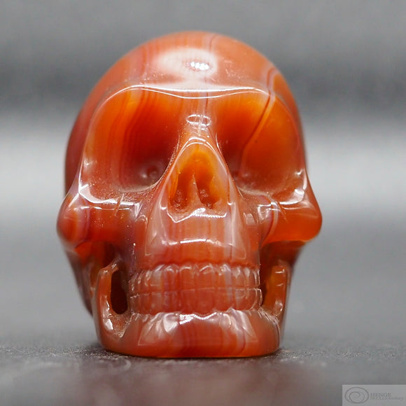 Carnelian Human Skull (Car26)