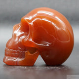 Carnelian Human Skull (Car26)
