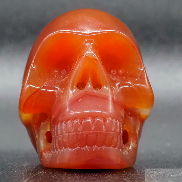 Carnelian Human Skull