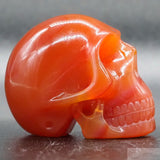 Carnelian Human Skull