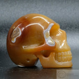 Carnelian Human Skull (Car06)