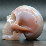 Carnelian Human Skull (Car07)