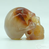 Carnelian Human Skull