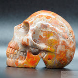 Coprolite Human Skull (Carr01)