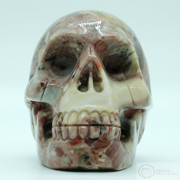 Chert Breccia (Pudding) Human Skull