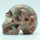 Chert Breccia (Pudding) Human Skull