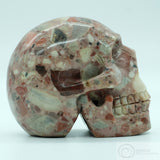 Chert Breccia (Pudding) Human Skull