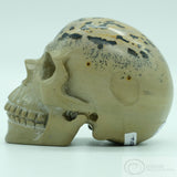 Chinese Paint Stone Human Skull (CP05)