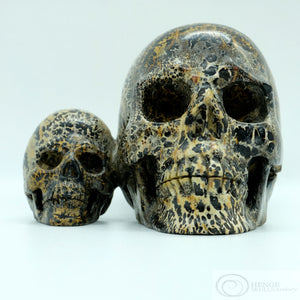 Chinese Paint Stone Human Skull