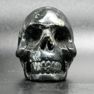 Chrysanthemum Stone Human Skull