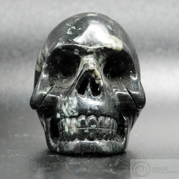 Chrysanthemum Stone Human Skull