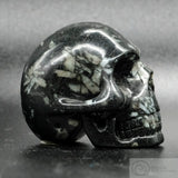 Chrysanthemum Stone Human Skull