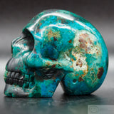 Chrysocolla Human Skull (Chr06)