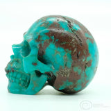 Chrysocolla Human Skull